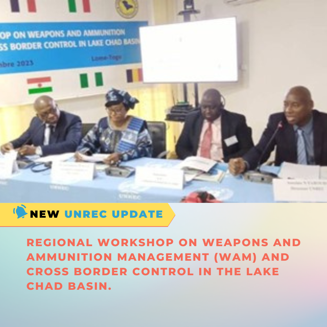 Regional workshop on Weapons and Ammunition Management (WAM) and cross border control in the Lake Chad Basin.