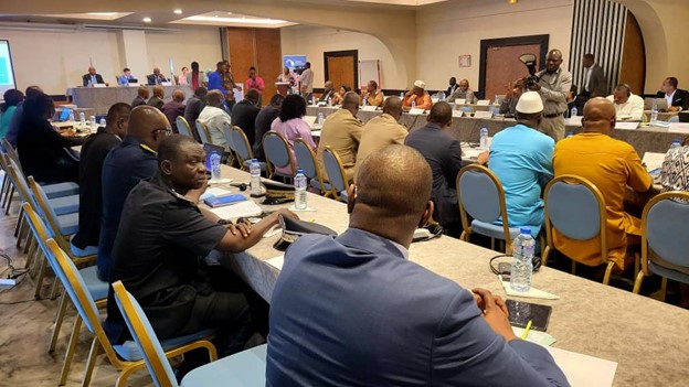 Overview of participants at the Informal Meeting on Global Ammunition Framework 2024 for West and Central African states in Lomé